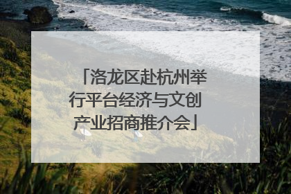 洛龙区赴杭州举行平台经济与文创产业招商推介会