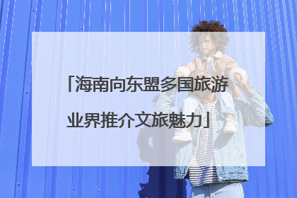 海南向东盟多国旅游业界推介文旅魅力