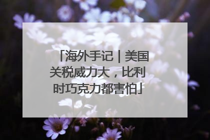 海外手记｜美国关税威力大，比利时巧克力都害怕