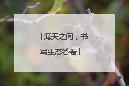 海天之间，书写生态答卷