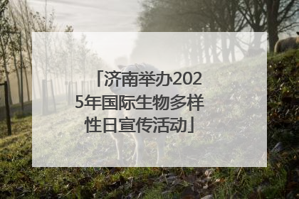 济南举办2025年国际生物多样性日宣传活动