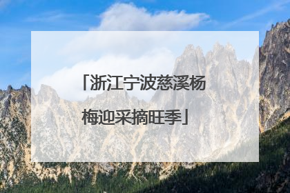 浙江宁波慈溪杨梅迎采摘旺季