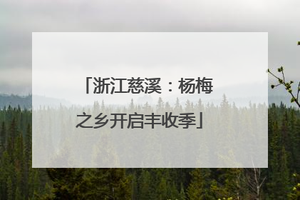 浙江慈溪：杨梅之乡开启丰收季