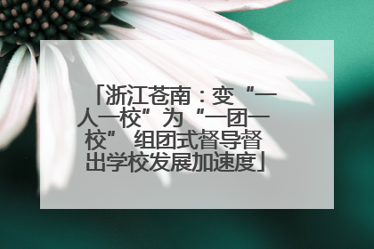 浙江苍南：变“一人一校”为“一团一校” 组团式督导督出学校发展加速度