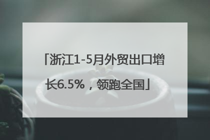 浙江1-5月外贸出口增长6.5%，领跑全国