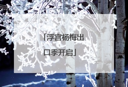 浮宫杨梅出口季开启