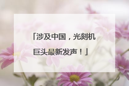 涉及中国，光刻机巨头最新发声！
