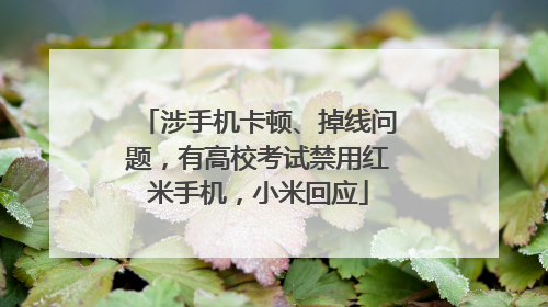 涉手机卡顿、掉线问题，有高校考试禁用红米手机，小米回应
