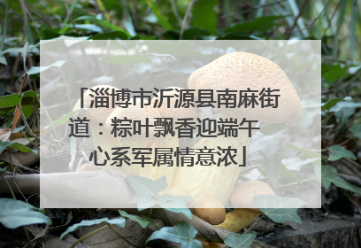 淄博市沂源县南麻街道：粽叶飘香迎端午 心系军属情意浓