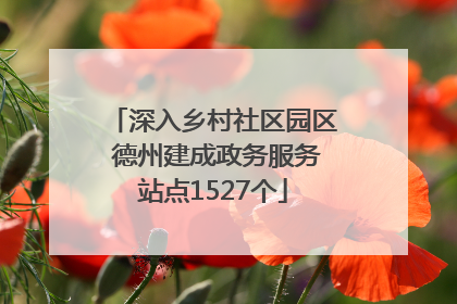 深入乡村社区园区 德州建成政务服务站点1527个
