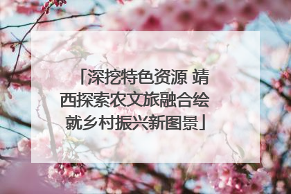 深挖特色资源 靖西探索农文旅融合绘就乡村振兴新图景