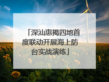深汕惠揭四地首度联动开展海上防台实战演练