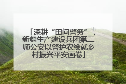 深耕“田间警务”，新疆生产建设兵团第二师公安以警护农绘就乡村振兴平安画卷