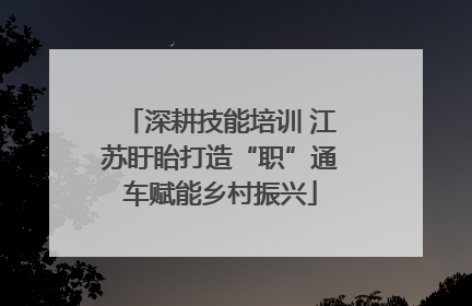 深耕技能培训 江苏盱眙打造“职”通车赋能乡村振兴