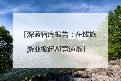 深蓝智库报告：在线旅游业掀起AI竞速战