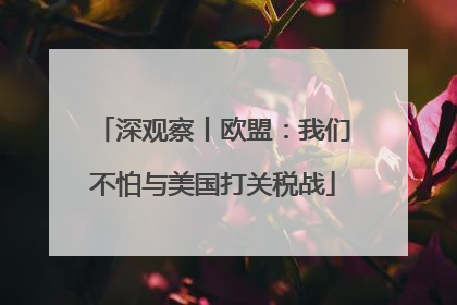 深观察丨欧盟：我们不怕与美国打关税战
