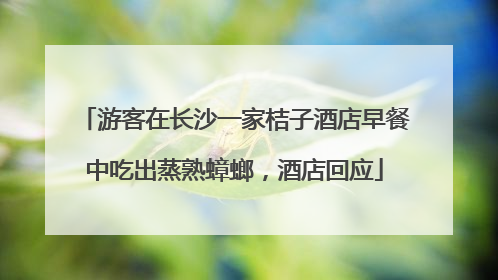游客在长沙一家桔子酒店早餐中吃出蒸熟蟑螂，酒店回应