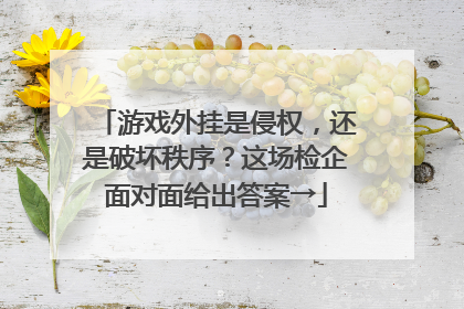 游戏外挂是侵权，还是破坏秩序？这场检企面对面给出答案→