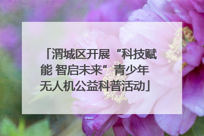 渭城区开展“科技赋能 智启未来”青少年无人机公益科普活动