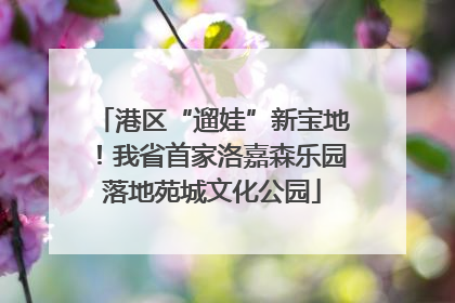 港区“遛娃”新宝地！我省首家洛嘉森乐园落地苑城文化公园