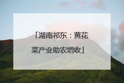 湖南祁东：黄花菜产业助农增收