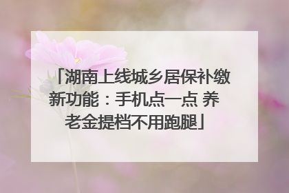 湖南上线城乡居保补缴新功能：手机点一点 养老金提档不用跑腿
