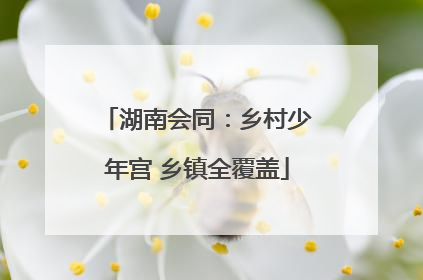 湖南会同：乡村少年宫 乡镇全覆盖