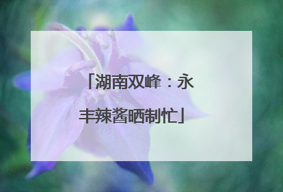 湖南双峰：永丰辣酱晒制忙