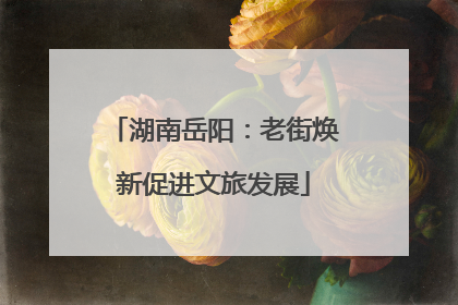 湖南岳阳：老街焕新促进文旅发展