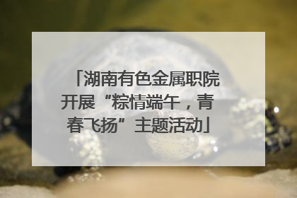 湖南有色金属职院开展“粽情端午，青春飞扬”主题活动