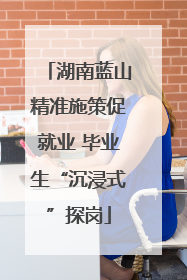 湖南蓝山精准施策促就业 毕业生“沉浸式”探岗