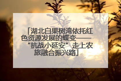 湖北白果树湾依托红色资源发展的蝶变——“抗战小延安”走上农旅融合振兴路
