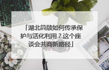 湖北简牍如何传承保护与活化利用？这个座谈会共商新路径