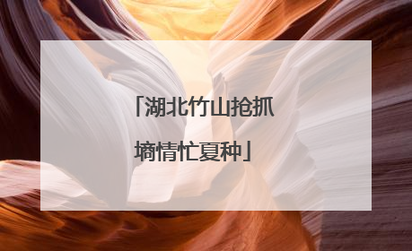 湖北竹山抢抓墒情忙夏种
