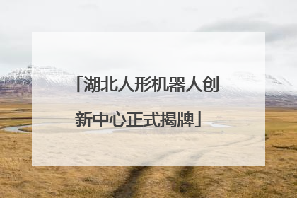 湖北人形机器人创新中心正式揭牌