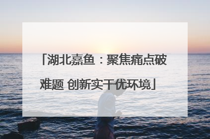湖北嘉鱼：聚焦痛点破难题 创新实干优环境