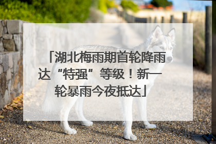 湖北梅雨期首轮降雨达“特强”等级！新一轮暴雨今夜抵达