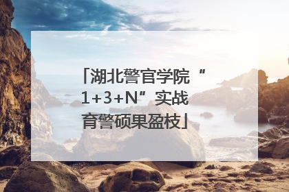 湖北警官学院“1+3+N”实战育警硕果盈枝