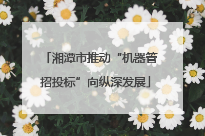 湘潭市推动“机器管招投标”向纵深发展