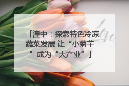 湟中：探索特色冷凉蔬菜发展 让“小菊芋”成为“大产业”