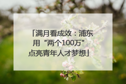 满月看成效：浦东用“两个100万”点亮青年人才梦想