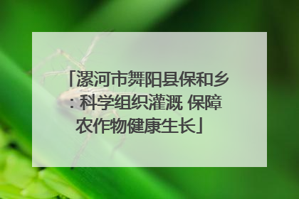漯河市舞阳县保和乡：科学组织灌溉 保障农作物健康生长