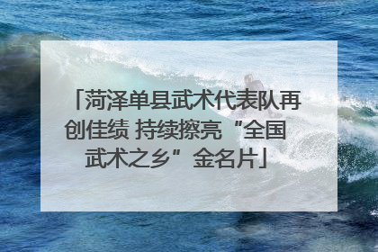 菏泽单县武术代表队再创佳绩 持续擦亮“全国武术之乡”金名片