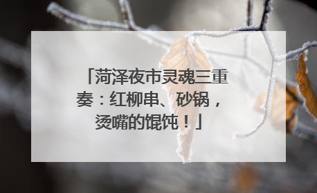 菏泽夜市灵魂三重奏：红柳串、砂锅，烫嘴的馄饨！