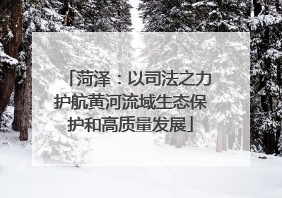 菏泽：以司法之力护航黄河流域生态保护和高质量发展