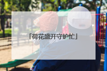荷花盛开守护忙