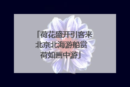 荷花盛开引客来 北京北海游船赏荷如画中游