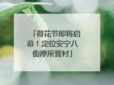 荷花节即将启幕！定位安宁八街摩所营村