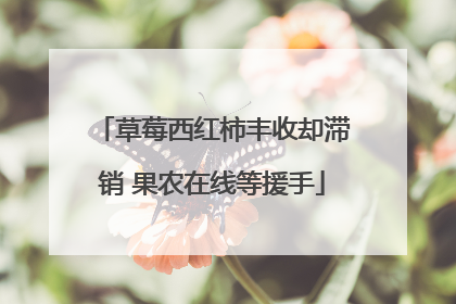 草莓西红柿丰收却滞销 果农在线等援手