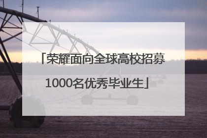 荣耀面向全球高校招募1000名优秀毕业生